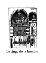 Le Singe de la lumière